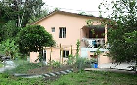Maison Lavanne